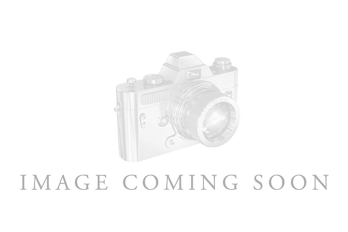 E273-17771: G189-49607 IN PLATINUM .25 TW