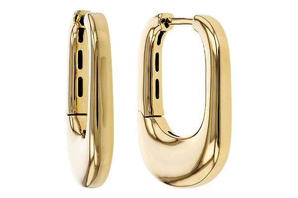 E274-98662: GOLD EARRINGS (24MM)